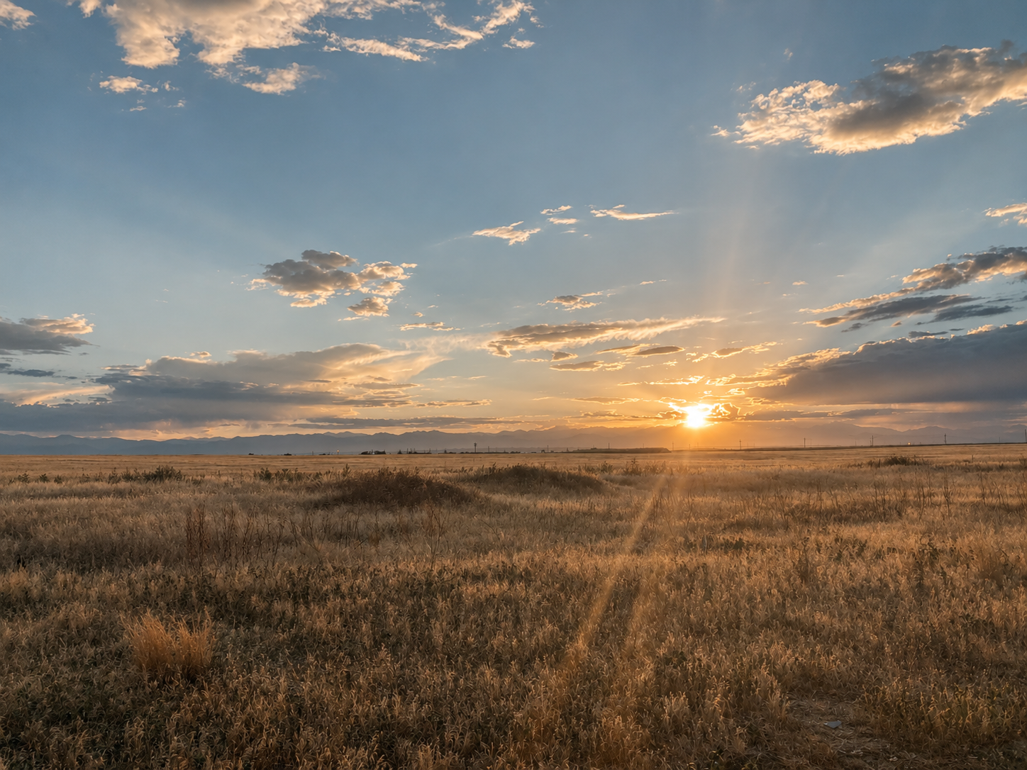 Golden sunlight over a peaceful open field